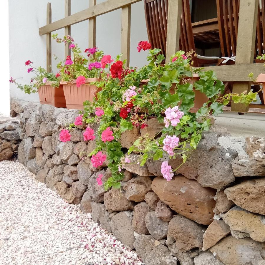 Casa Di Campagna กัลเตลลิ ภายนอก รูปภาพ